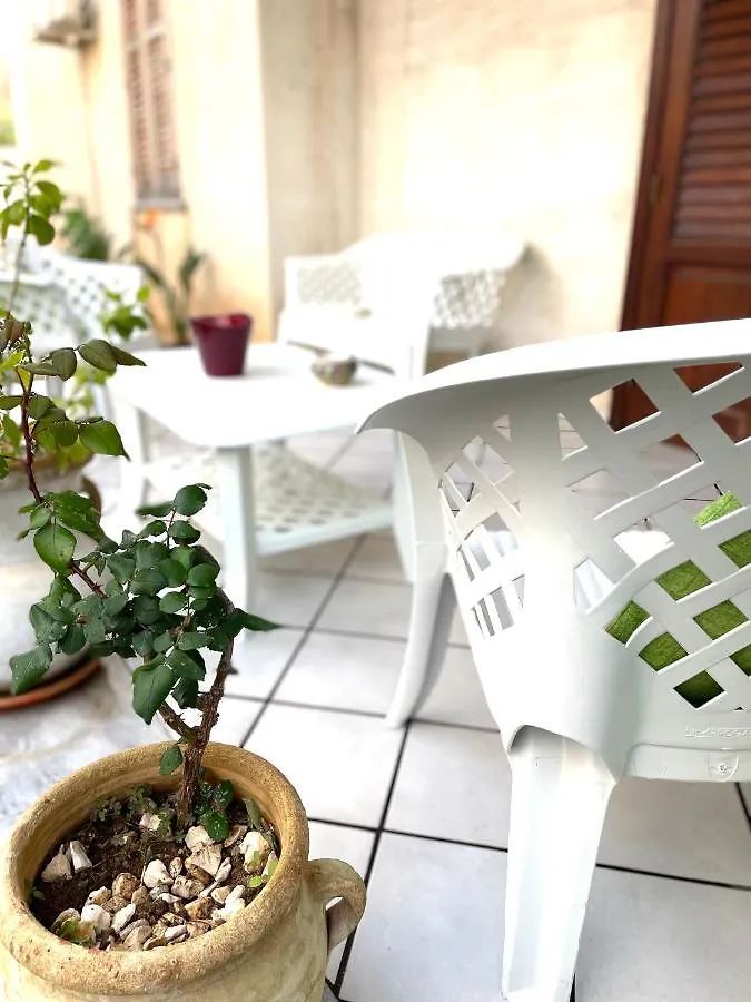 Bed & Breakfast B&B La Cycas San Vito Lo Capo