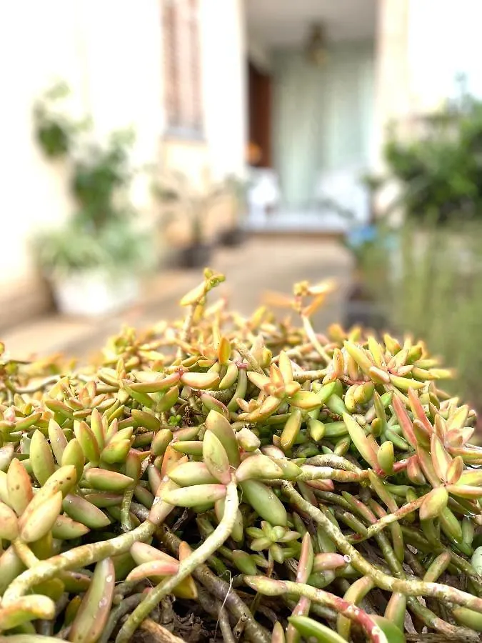 B&B La Cycas 산비토로카포