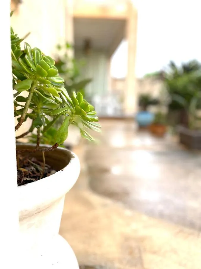 B&B La Cycas 산비토로카포