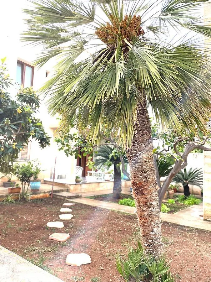 B&B La Cycas 산비토로카포 0*,