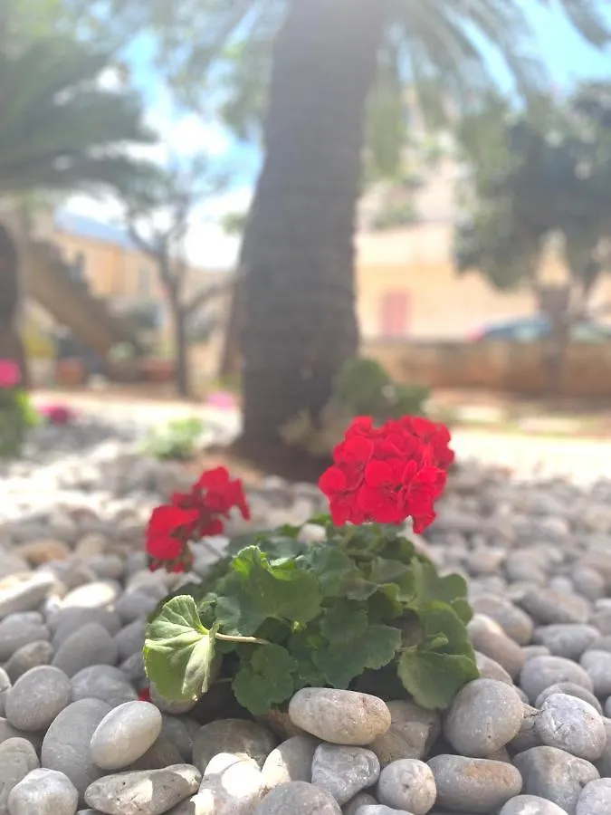 B&B La Cycas San Vito Lo Capo Bed & Breakfast