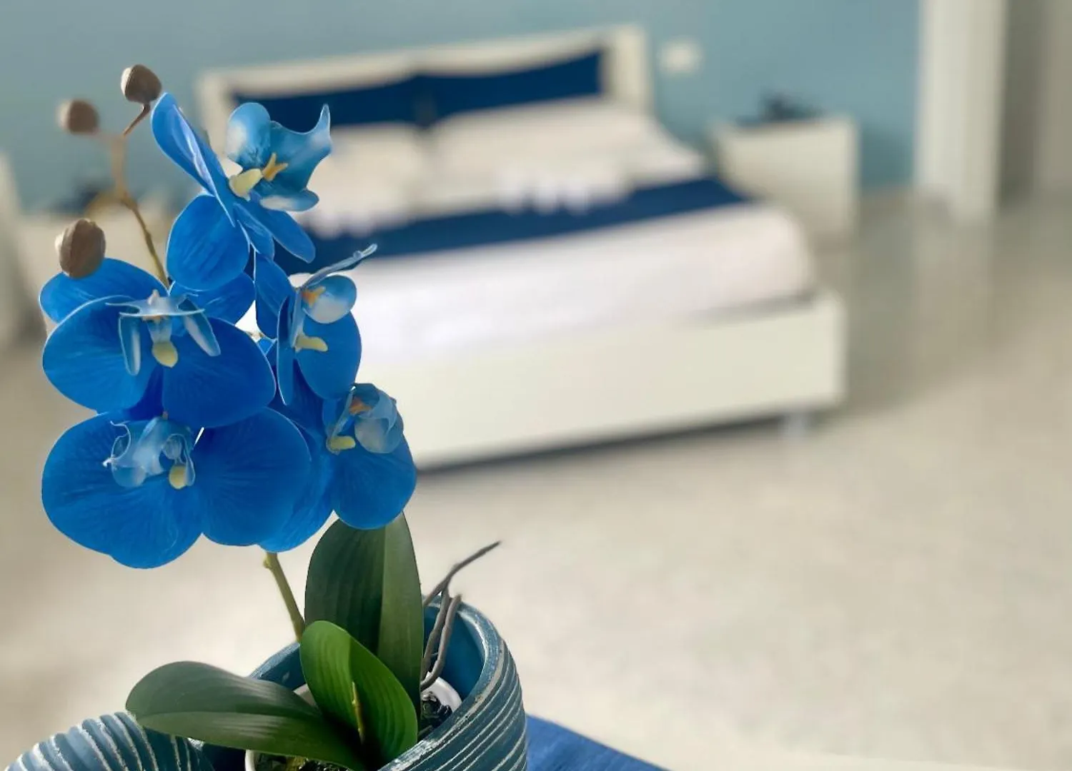 B&B La Cycas San Vito Lo Capo