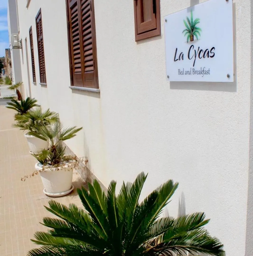 Bed & Breakfast B&B La Cycas San Vito Lo Capo